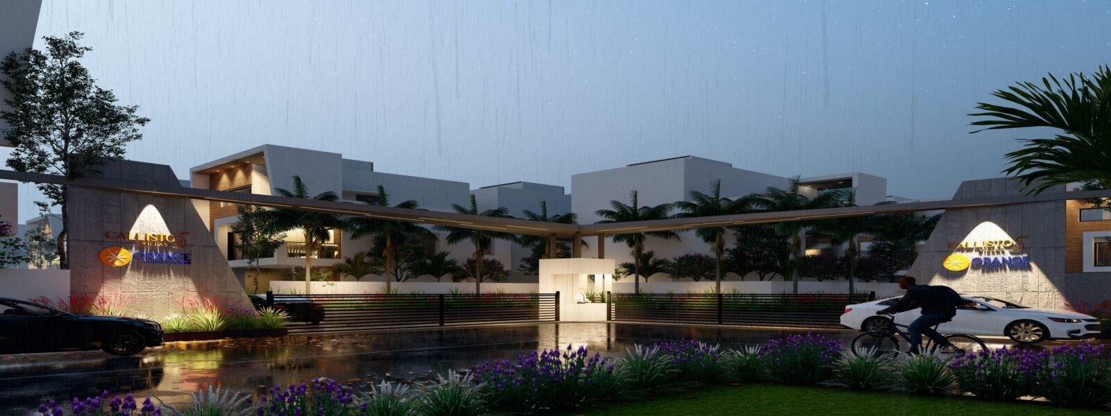 Developer render